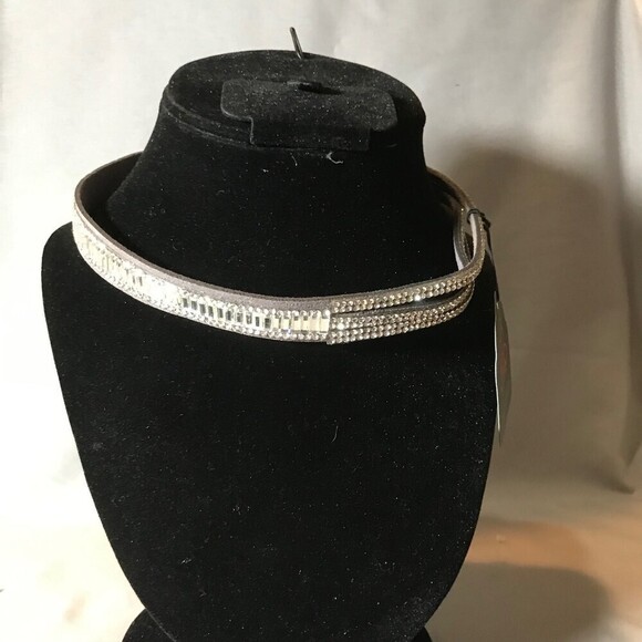 Paparazzi Gray and Crystal Snap Adjustable Choker - Picture 1 of 5